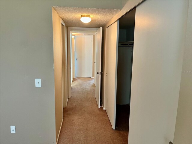 2287 Philippine Dr Unit 29, Clearwater, FL 33763 - photo 12