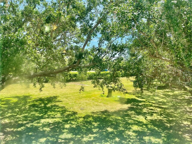 2287 Philippine Dr Unit 29, Clearwater, FL 33763 - photo 22