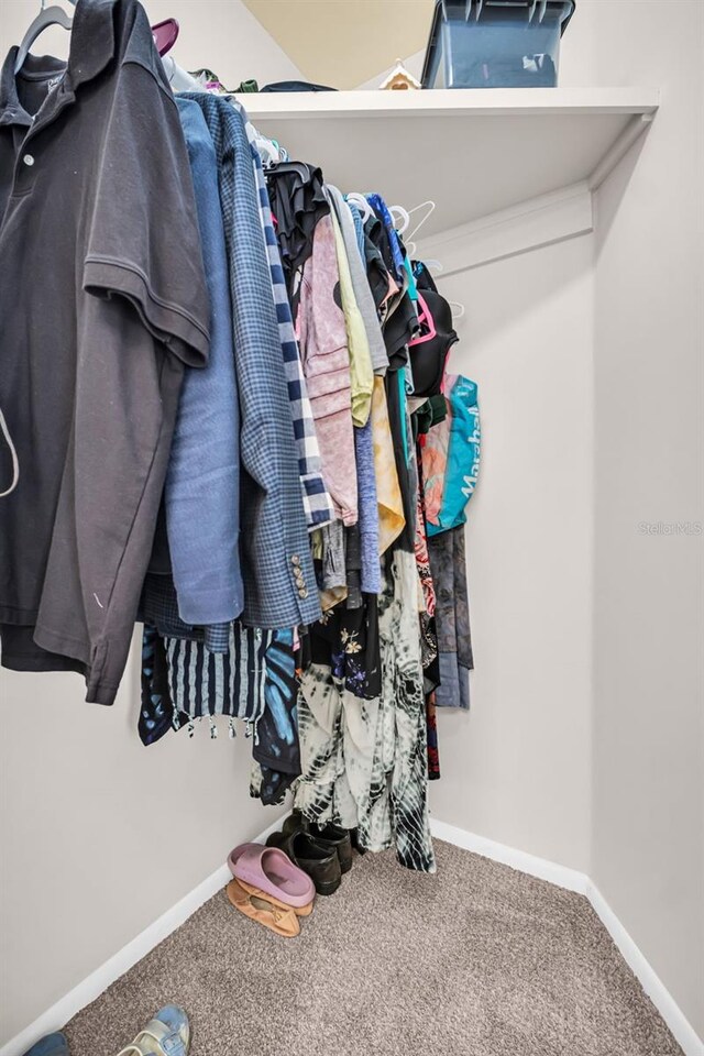 307 Orangewood Ln, Largo, FL 33770 - spacious closet with carpet floors