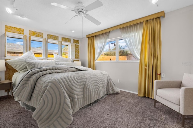 307 Orangewood Ln, Largo, FL 33770 - bedroom with baseboards, multiple windows, carpet, and a ceiling fan