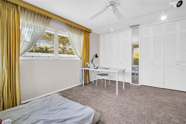 307 Orangewood Ln, Largo, FL 33770 - bedroom with carpet flooring, ceiling fan, track lighting, and two closets