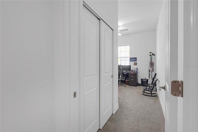 12572 Bergstrom Bay Dr, Riverview, FL 33579 - photo 5