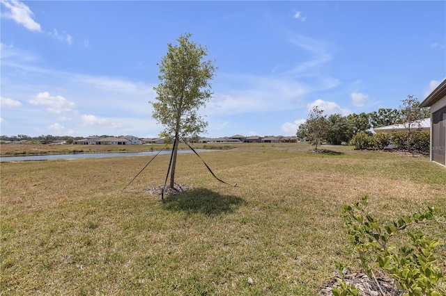 12572 Bergstrom Bay Dr, Riverview, FL 33579 - photo 49