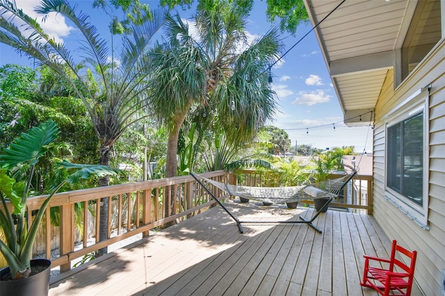 1735 Maryland Ave NE, Saint Petersburg, FL 33703 - view of deck