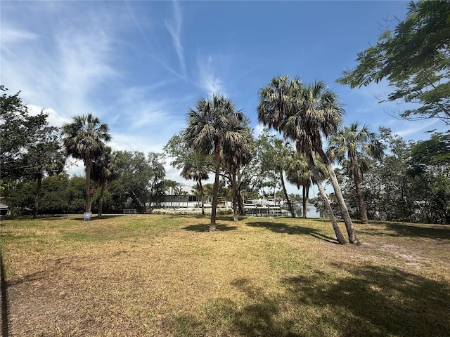 1735 Maryland Ave NE, Saint Petersburg, FL 33703 - view of grassy yard