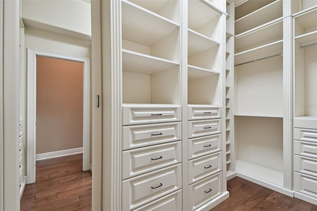 2605 59th St S, Gulfport, FL 33707 - spacious closet featuring dark wood-style flooring