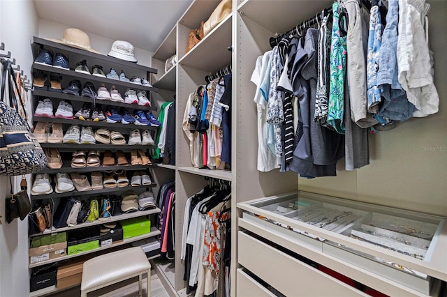 view of spacious closet