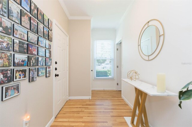 10473 Villa View Cir, Tampa, FL 33647 - entryway featuring crown molding, baseboards, and light wood-type flooring