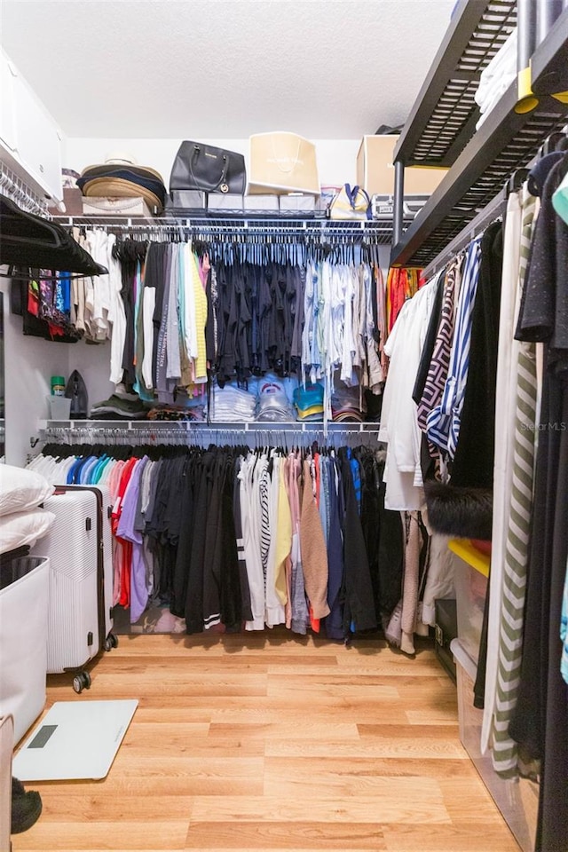 10473 Villa View Cir, Tampa, FL 33647 - walk in closet featuring wood finished floors