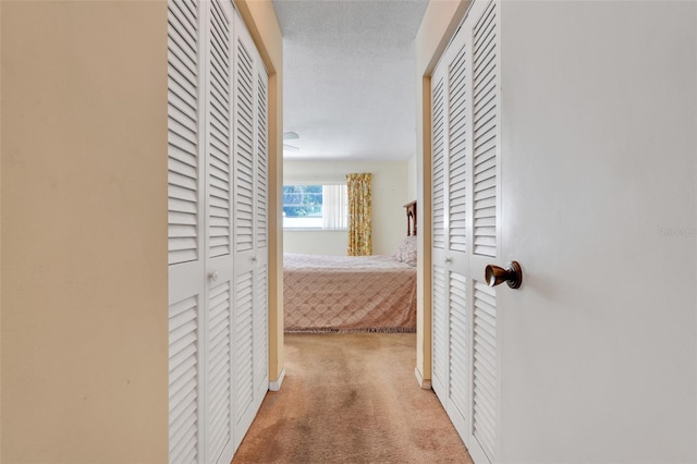 corridor featuring carpet floors