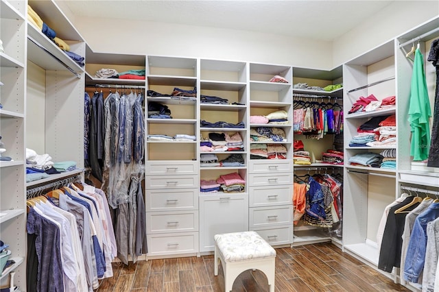3243 Watermark Dr, Wesley Chapel, FL 33544 - spacious closet featuring wood tiled floor