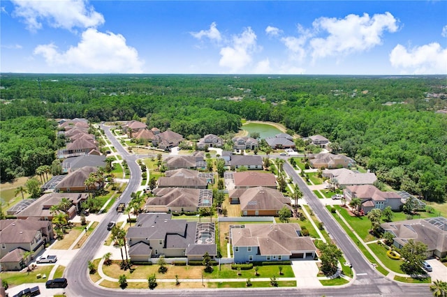 3243 Watermark Dr, Wesley Chapel, FL 33544 - birds eye view of property with a wooded view and a residential view