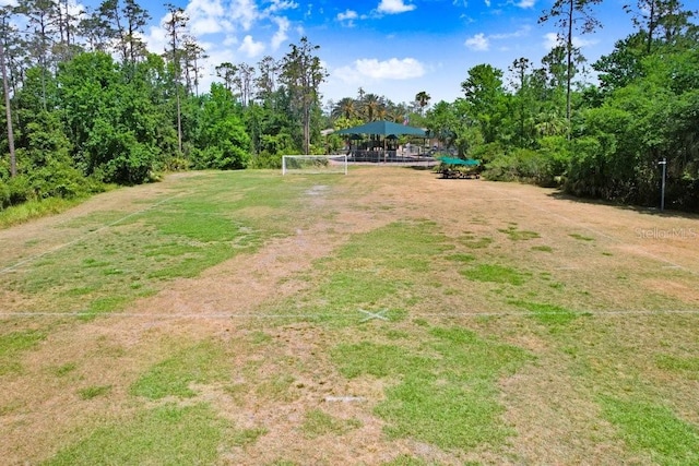 3243 Watermark Dr, Wesley Chapel, FL 33544 - view of yard
