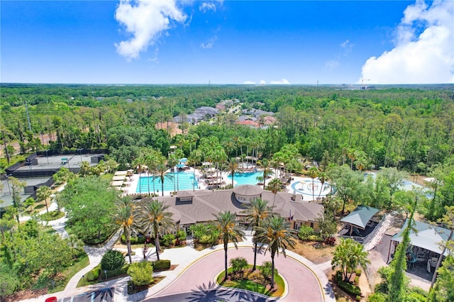 3243 Watermark Dr, Wesley Chapel, FL 33544 - bird's eye view with a view of trees