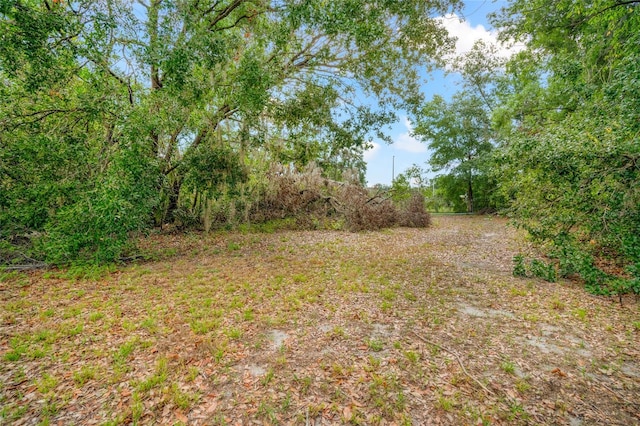 3611 W Reynolds St Unit 1/2, Plant City, FL 33563 - photo 5