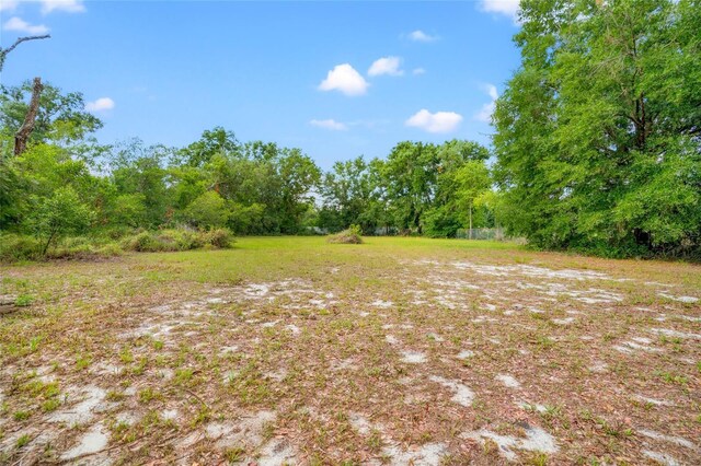 3611 W Reynolds St Unit 1/2, Plant City, FL 33563 - photo 9