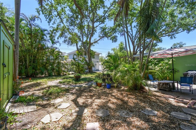view of yard with a patio and an outdoor fire pit