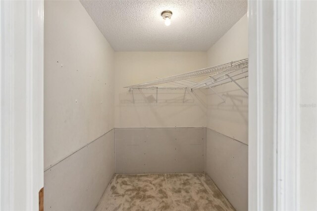 walk in closet featuring carpet flooring