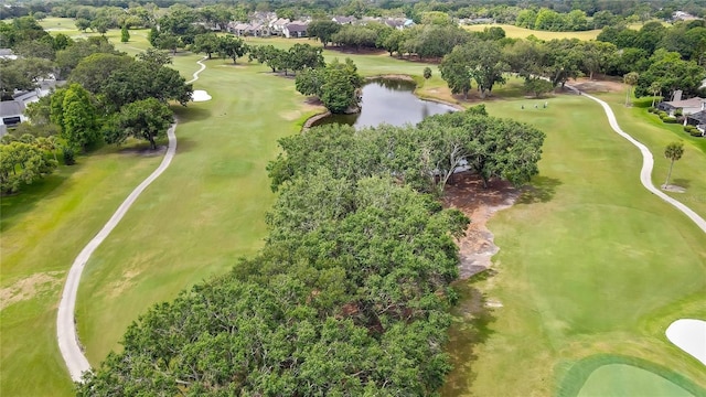 4175 Northmeadow Cir Unit 4175, Tampa, FL 33618 - aerial view of property and surrounding area featuring a large body of water, a tree filled landscape, and a golf course
