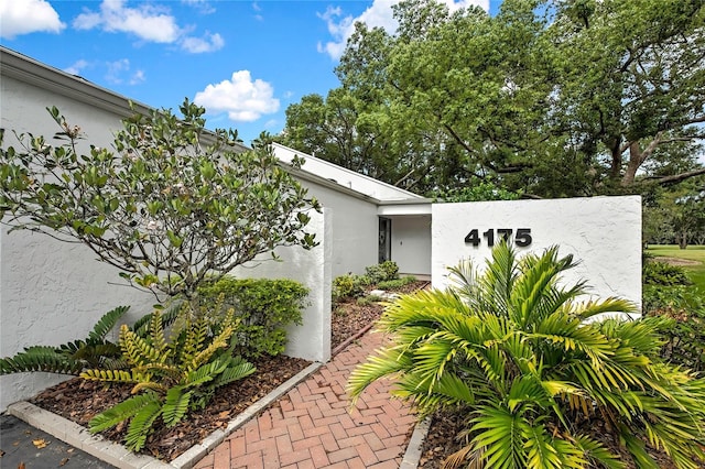 4175 Northmeadow Cir Unit 4175, Tampa, FL 33618 - doorway to property with stucco siding