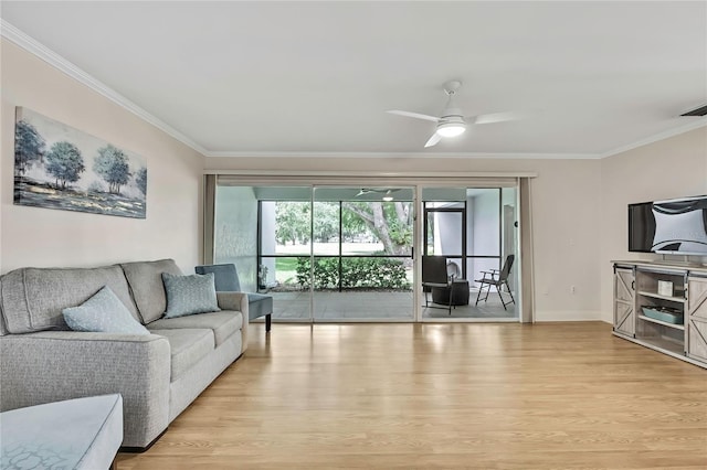 4175 Northmeadow Cir Unit 4175, Tampa, FL 33618 - living room featuring crown molding, light wood-type flooring, a ceiling fan, and baseboards