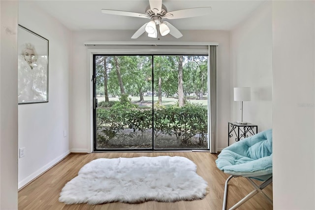 4175 Northmeadow Cir Unit 4175, Tampa, FL 33618 - living area with healthy amount of natural light, a ceiling fan, baseboards, and wood finished floors