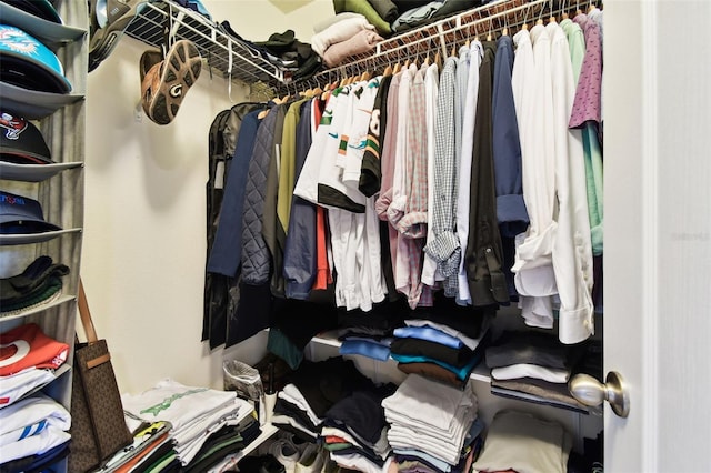 view of spacious closet