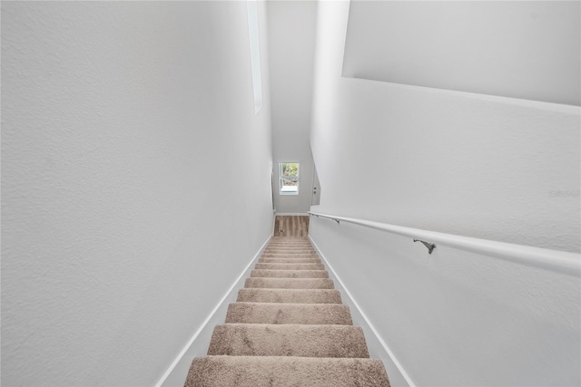 7797 Peace Lily Ave, Wesley Chapel, FL 33545 - stairway featuring baseboards