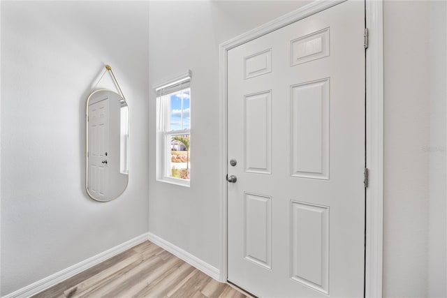 7797 Peace Lily Ave, Wesley Chapel, FL 33545 - photo 5