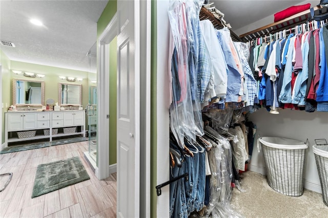 2701 W Bay Ave, Tampa, FL 33611 - spacious closet with visible vents and a sink