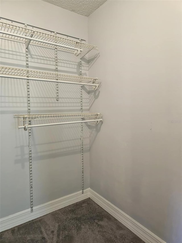 4043 La Pasida Ln, New Port Richey, FL 34655 - spacious closet with dark colored carpet