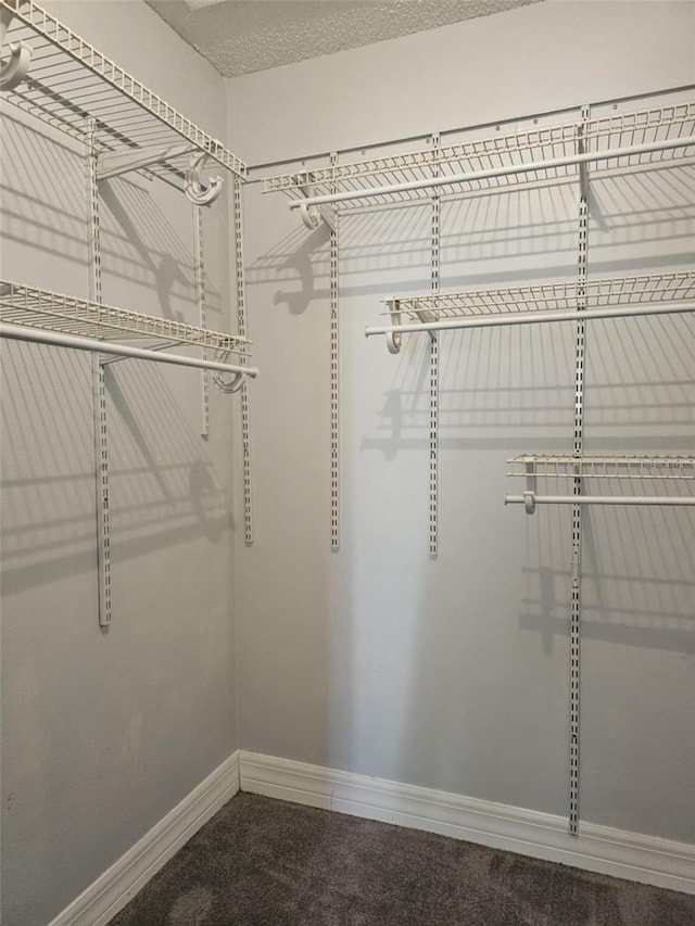 4043 La Pasida Ln, New Port Richey, FL 34655 - walk in closet with carpet flooring