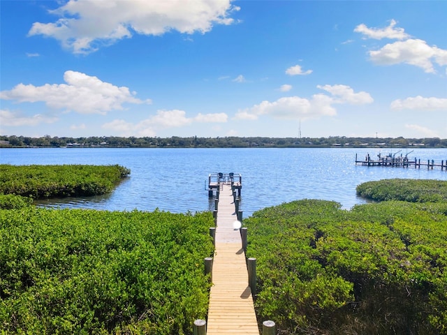 dock area with a water view