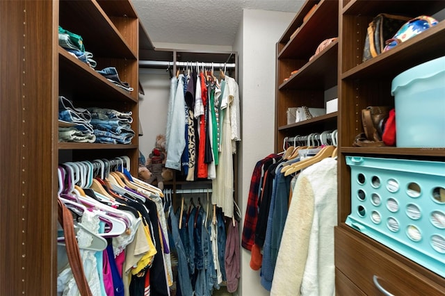 view of walk in closet