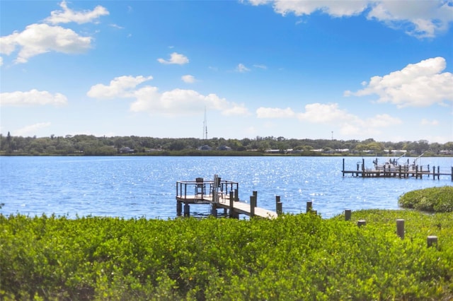 view of dock with a water view