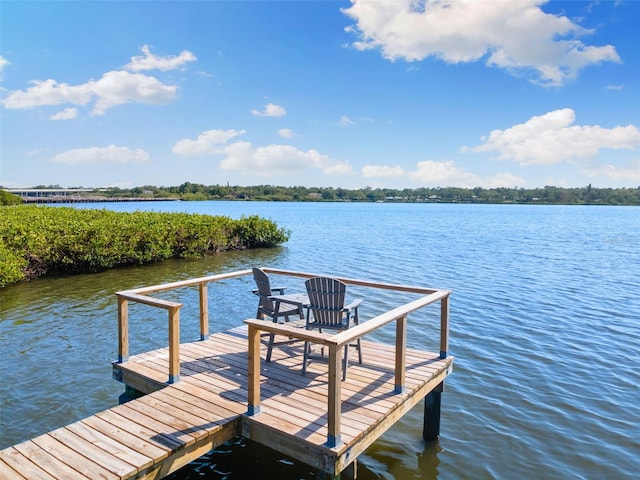 dock area with a water view