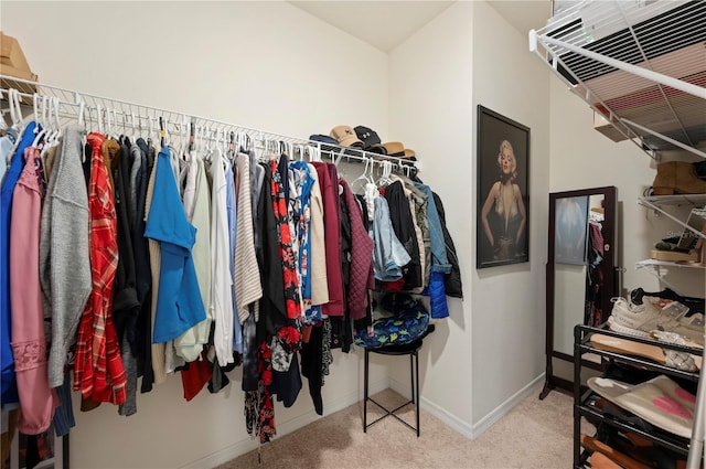 walk in closet with carpet flooring
