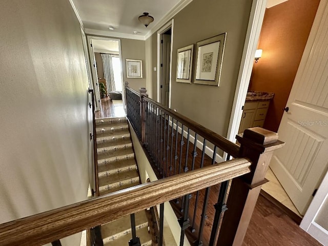 1056 Castle Pines Ct, Reunion, FL 34747 - staircase featuring wood finished floors and ornamental molding