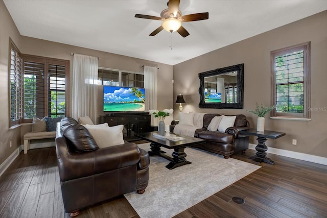 4085 Arlington Dr, Palm Harbor, FL 34685 - photo 20