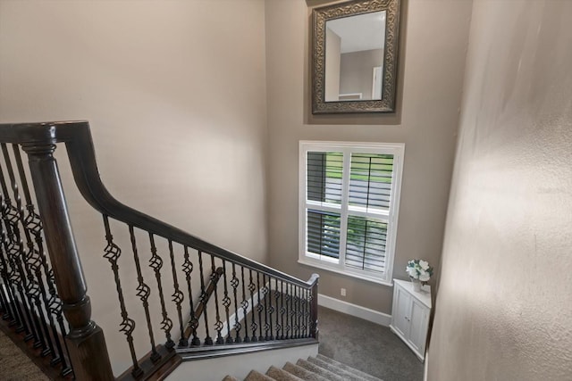 4085 Arlington Dr, Palm Harbor, FL 34685 - photo 31