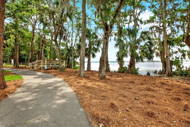 4085 Arlington Dr, Palm Harbor, FL 34685 - photo 56