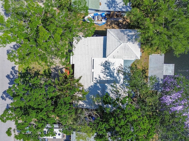 bird's eye view