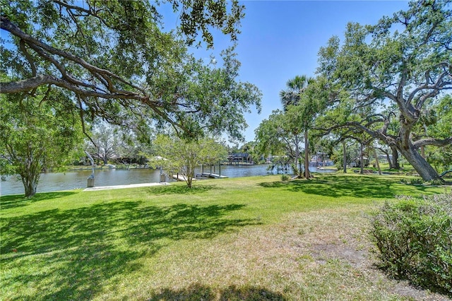 9303 Alice Ln, Riverview, FL 33578 - photo 4
