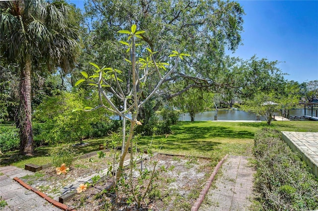 9303 Alice Ln, Riverview, FL 33578 - photo 42