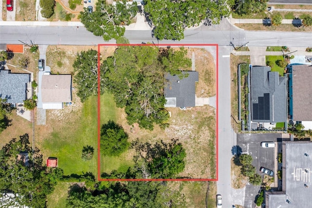 549 Bay St, Dunedin, FL 34698