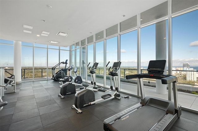777 3rd Ave N Unit 1403, Saint Petersburg, FL 33701 - workout area featuring floor to ceiling windows and a wealth of natural light