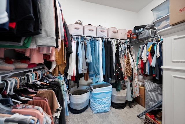 walk in closet featuring carpet flooring