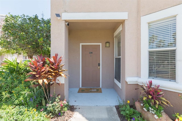 10502 Villa View Cir, Tampa, FL 33647 - photo 3