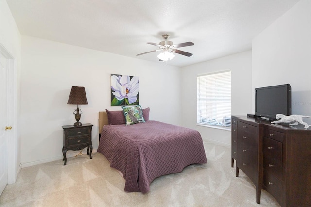 10502 Villa View Cir, Tampa, FL 33647 - photo 22