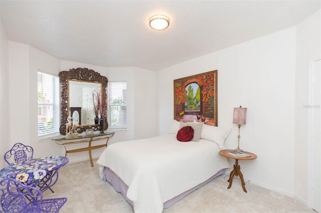10502 Villa View Cir, Tampa, FL 33647 - photo 17